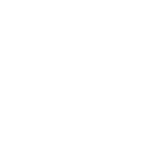 Siren Icon